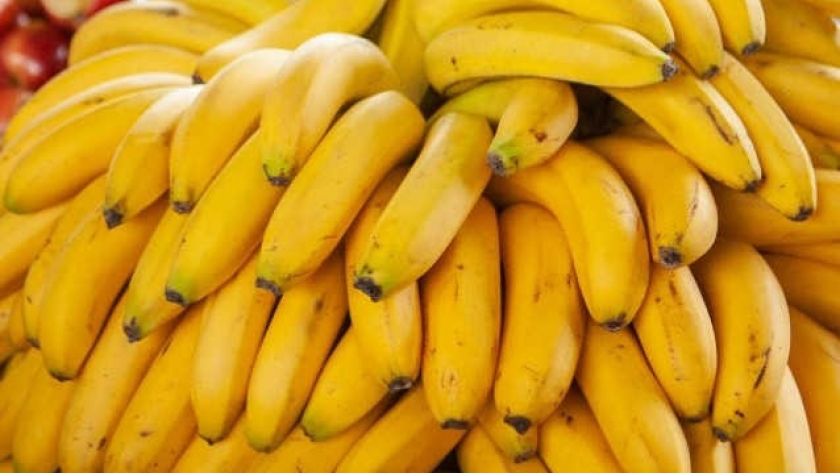 Desde octubre se deberá usar el DTV-e para trasladar banana en fresco