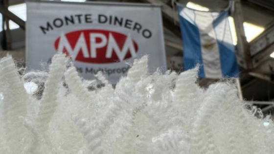 La ganadería ovina apuesta al manejo regenerativo para recuperar suelos y sostener productividad en la Patagonia