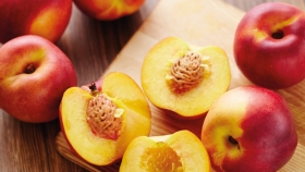 Pionero INTA: la nectarina argentina que abre nuevas rutas de exportación