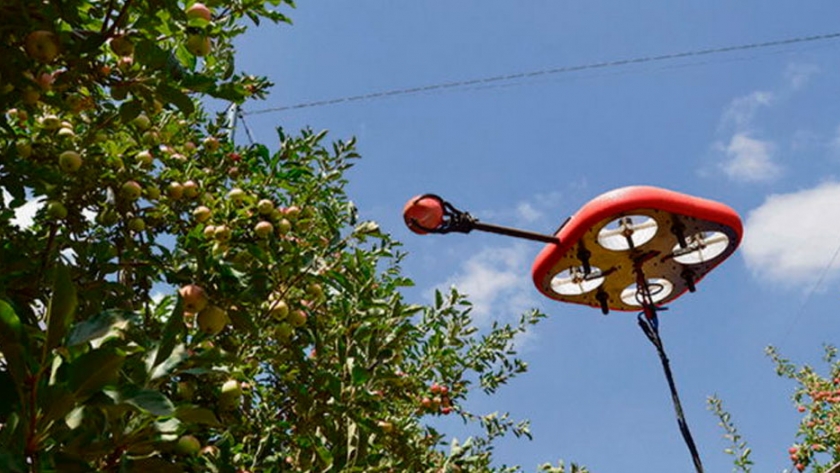 Tevel inventó un drone robot que cosecha frutas
