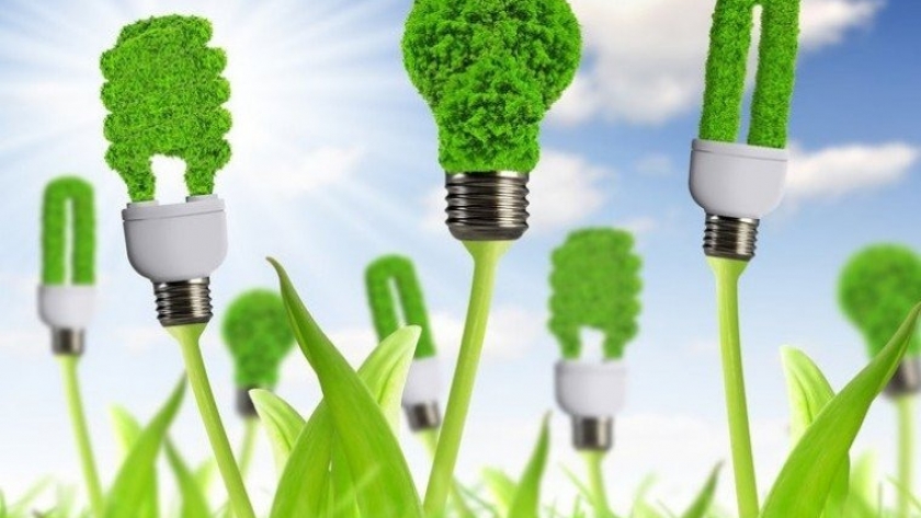 La bioenergía y su papel crucial en la sostenibilidad ambiental