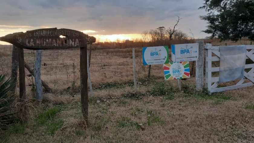 Buenas Prácticas Agropecuarias 2021: la carga inicial superó la expectativas
