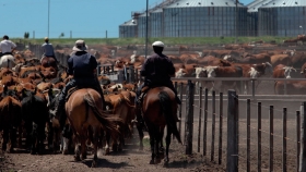 Carne uruguaya con nuevas oportunidades
