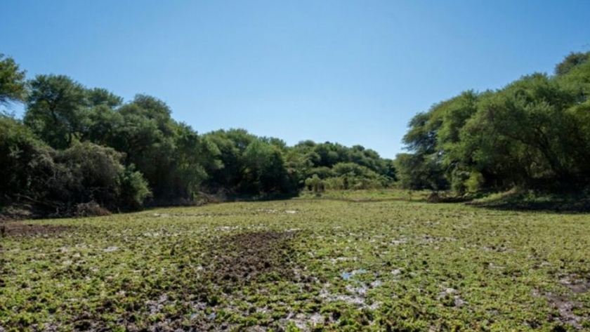 Ambiente: Chaco busca incrementar la extensión de sus áreas protegidas