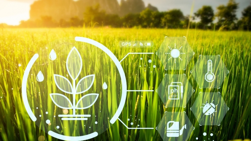 Cultivando el futuro