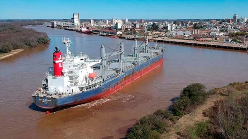 Arribó un buque al puerto de Concepción de Uruguay para cargar miles de toneladas de madera de pino