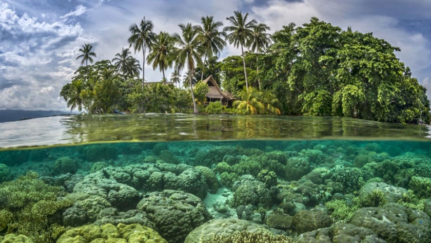 La cooperación australiana proporciona un mejor sistema de semillas para las Islas Salomón