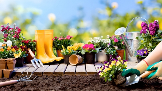 <Preparar el suelo para la primavera: los consejos de Paula Eco para un jardín sano y productivo