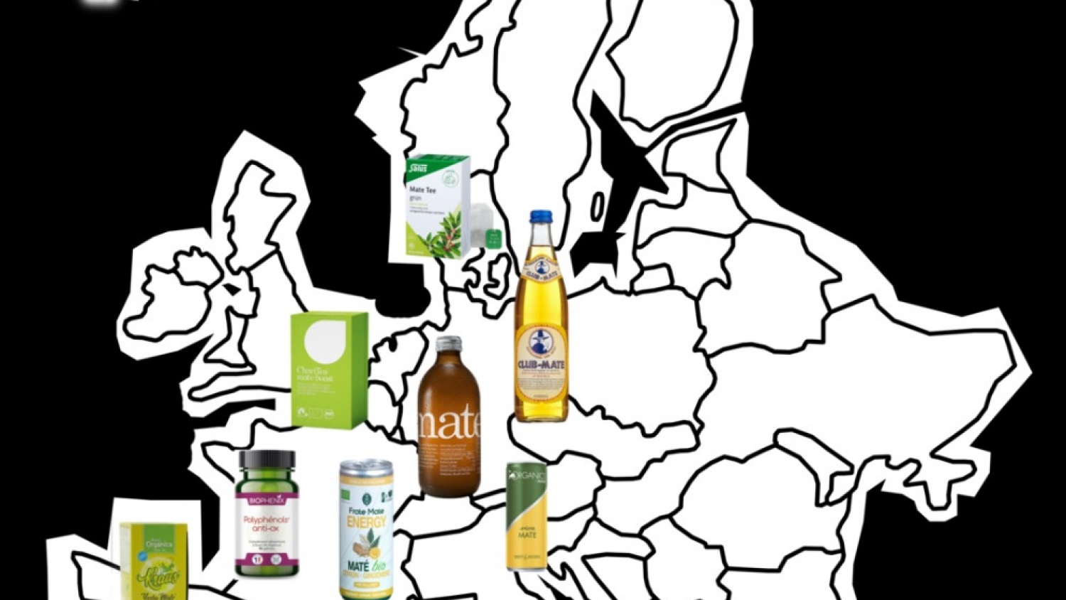 Europa se consolida como destino estratégico para la yerba mate argentina