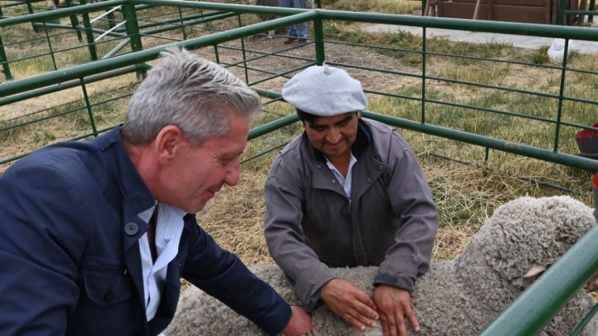 Nación oficializó una nueva edición del Plan LanAr e incrementa la asistencia a productores ovinos de la Provincia