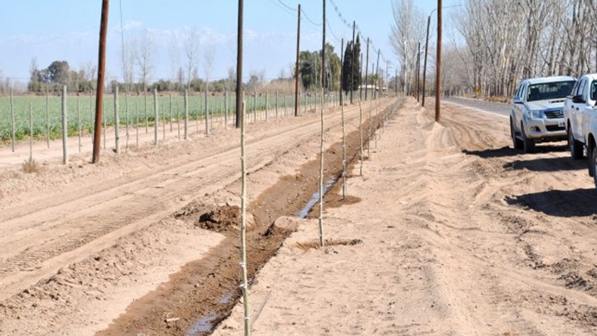 Continúa el plan de forestación de zonas áridas en el Este de Mendoza