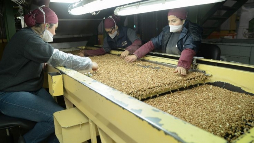 Una nueva empresa recibió autorización del Ministerio de Agricultura para usar el sello "Alimentos Argentinos, Una Elección Natural"