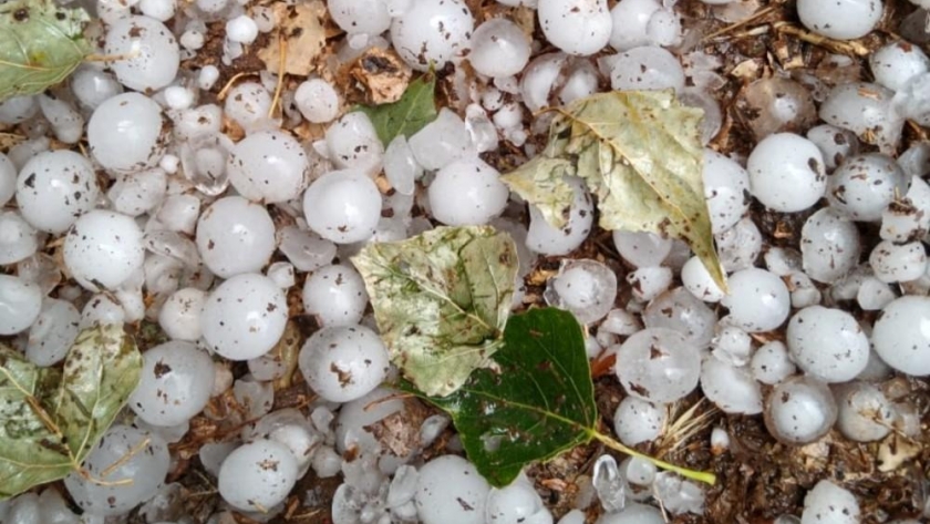Resarcimiento a productores rionegrinos afectados por el granizo