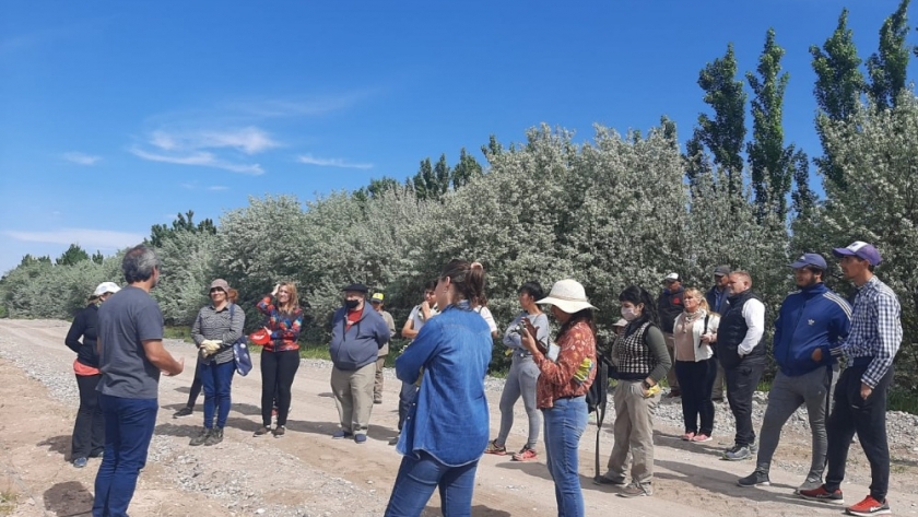 “Diseño, plantación y manejo del viñedo” en Casa de Piedra