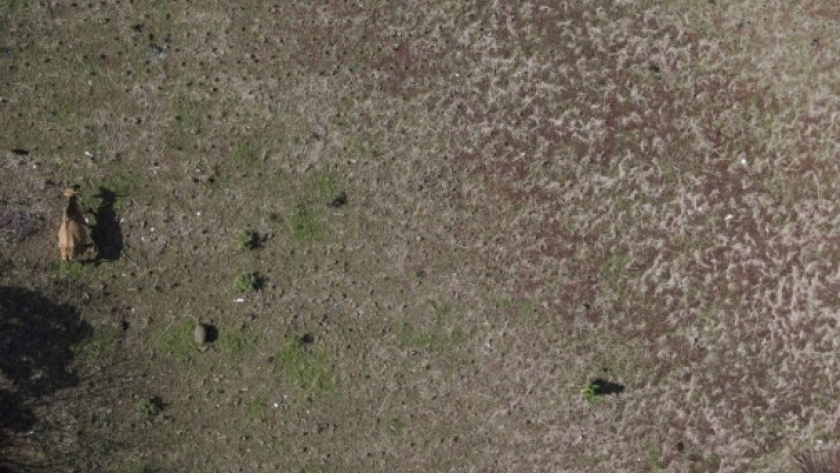 Cómo la Tecnología Satelital Ayuda a los Agricultores a Adaptarse al Cambio Climático Global