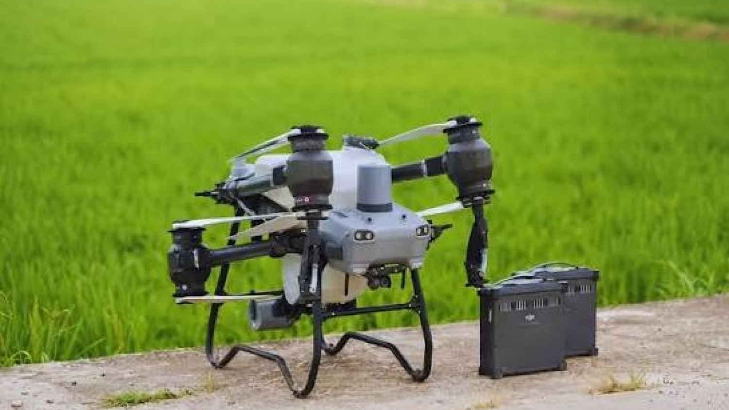 Drones en el agro: el INTA impulsa una tecnología que mejora la precisión de las aplicaciones y amplía las alternativas de manejo