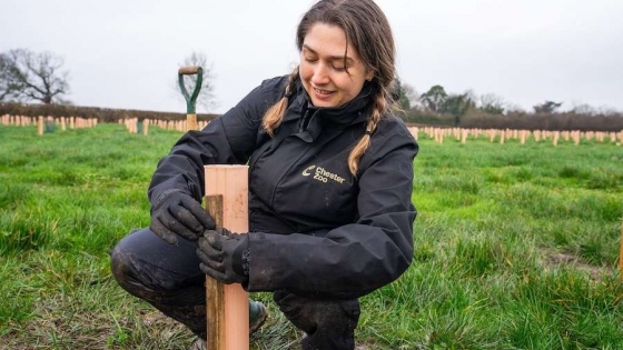 More Than 5,000 Trees Planted to Boost Biodiversity in Cheshire