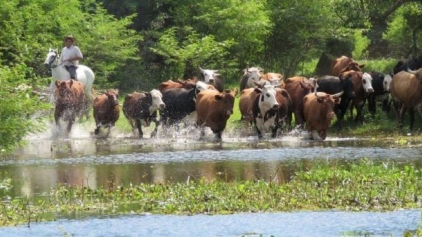 Desesperada evacuación de hacienda donde antes asolaba la sequía