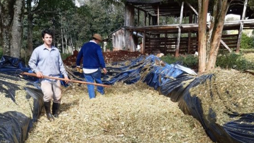 Ensilado: una alternativa para la alimentación de ganado en épocas invernales
