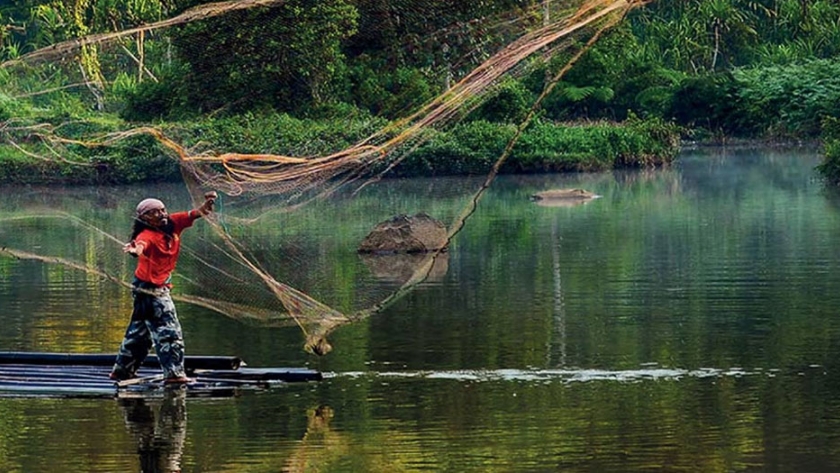 Se necesitan medidas urgentes para salvaguardar la biodiversidad de los bosques de América Latina y el Caribe