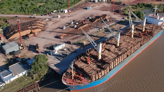 El Puerto de Ibicuy realizó embarques por casi 200.000 toneladas en 2020