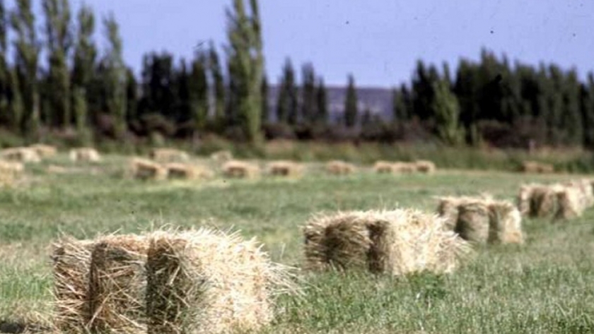 Agricultura destinó 13 millones de pesos para asistir productores de Tierra del Fuego
