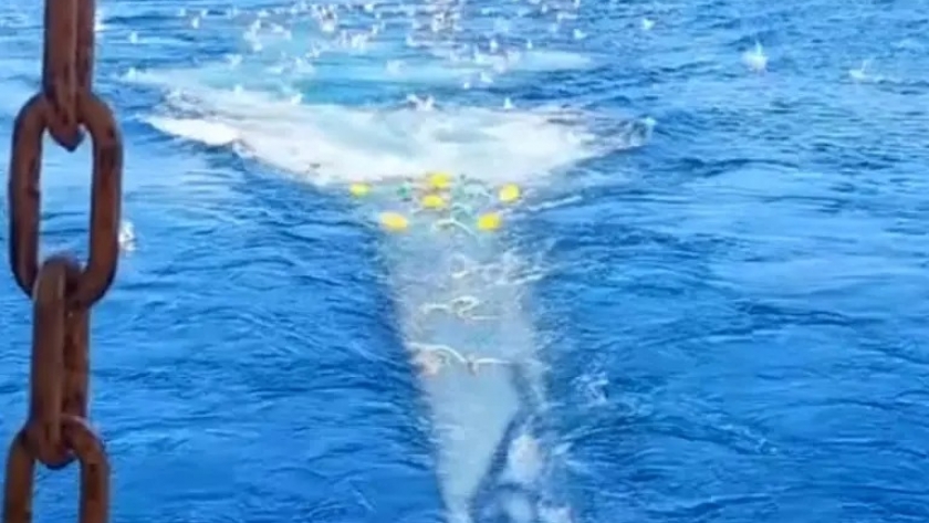 Consejo Federal Pesquero. Sesión semanal, Acta Nro. 5/2024. Disposición Transitoria sobre Merluza Hubbsi