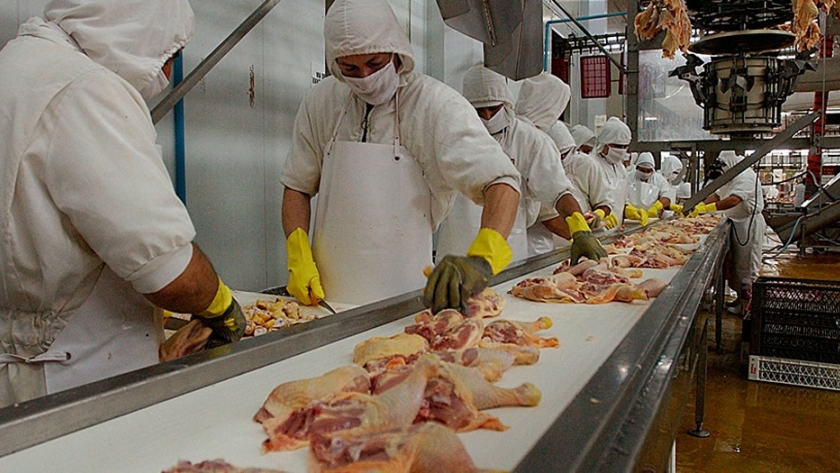Tras 12 años de gestiones, Argentina exportó carne de pollo a Canadá por primera vez 