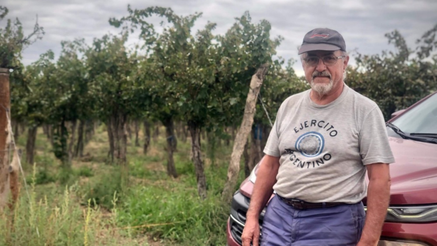 Del petróleo al vino: la apuesta que desafía el tiempo