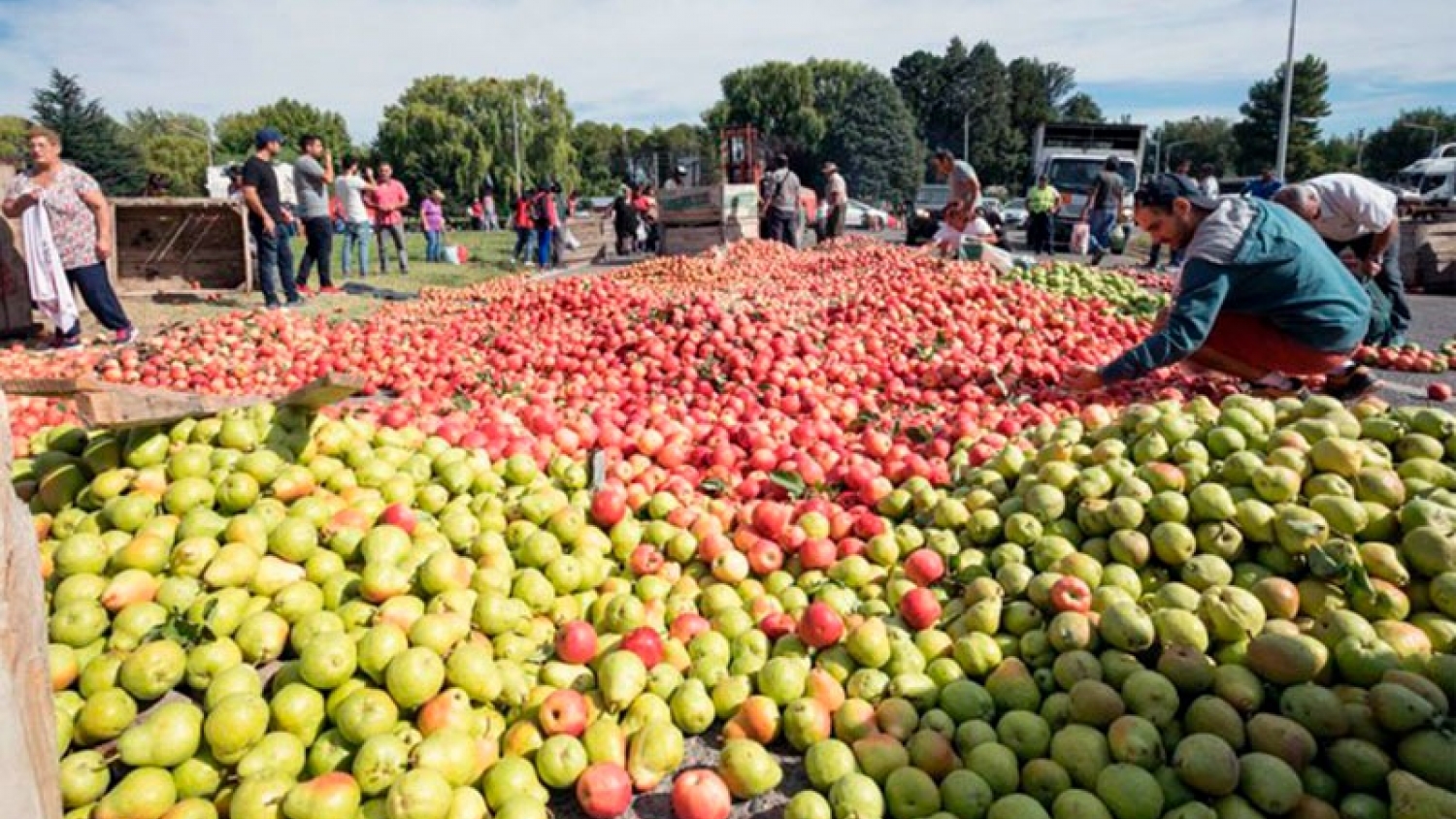 Producción en Villa Regina: agroindustria y exportación frutícola