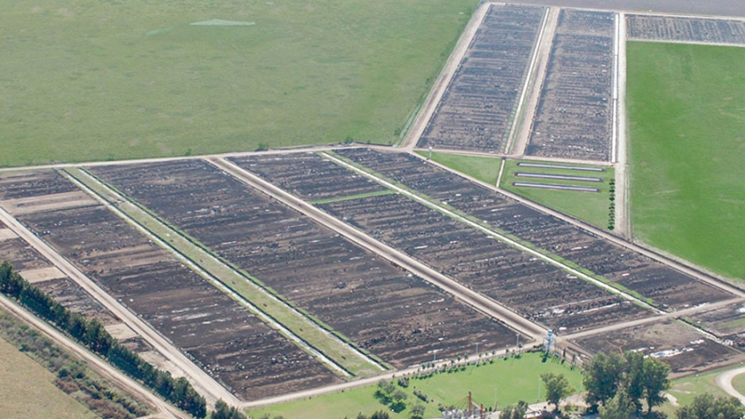 Con un negocio muy ajustado, los feedloteros trabajan en nuevos protocolos de exportación y en una ley