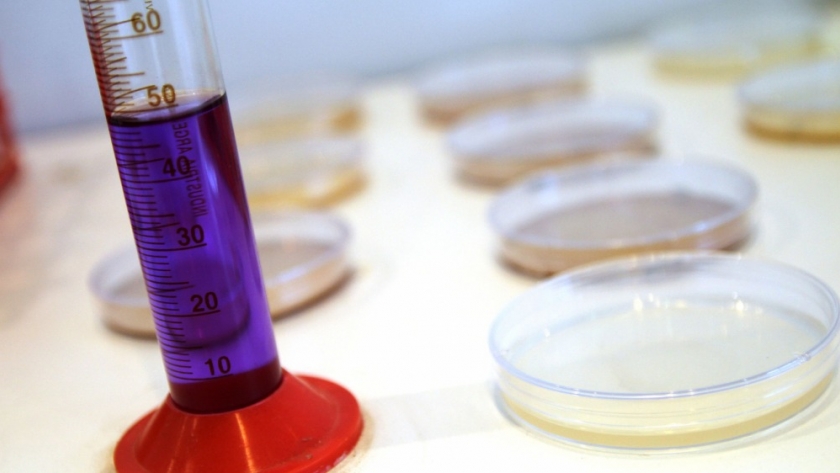 PROBIAAR: Se presentaron 189 proyectos para promover la producción y el uso sustentable de insumos biológicos nacionales