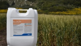 El insumo argentino de muy bajo costo que da hasta 500 kilos de trigo extra por hectárea: es sustentable, se puede aplicar junto a herbicidas y hay ensayos junto al INTA