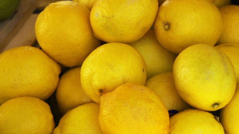 Ingresó a la Unión Europea el primer cargamento de cítricos orgánicos argentinos tras la reapertura de ese mercado