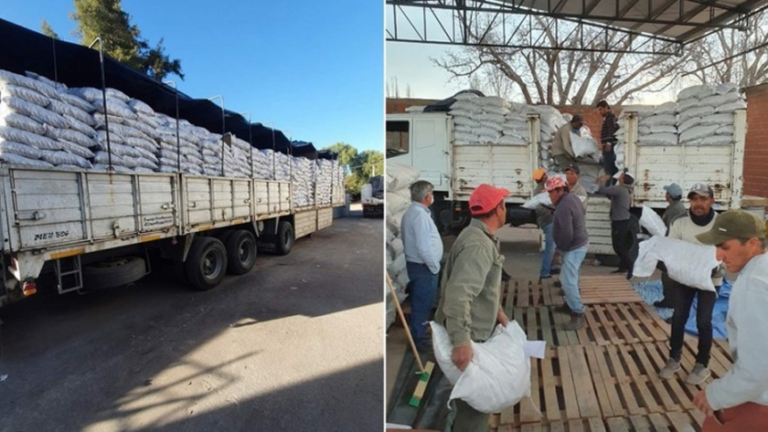 Exportan nueces de Pozo de Piedra a Italia