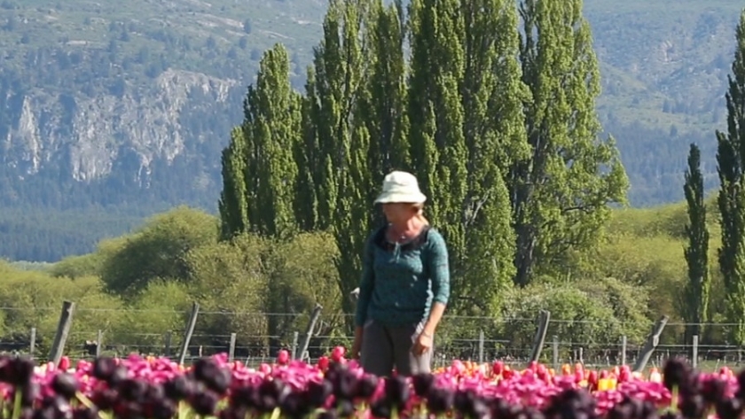 Chubut registró una ocupación promedio del 90% durante el fin de semana extra largo
