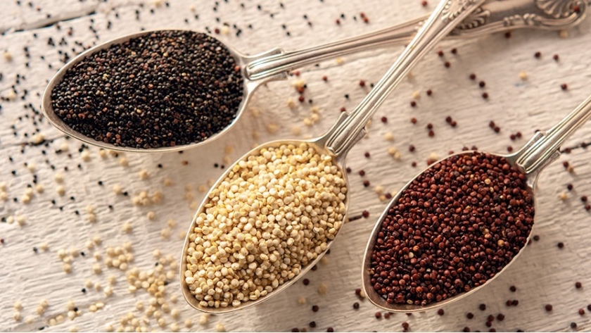 La quinoa: el grano de oro de los Andes