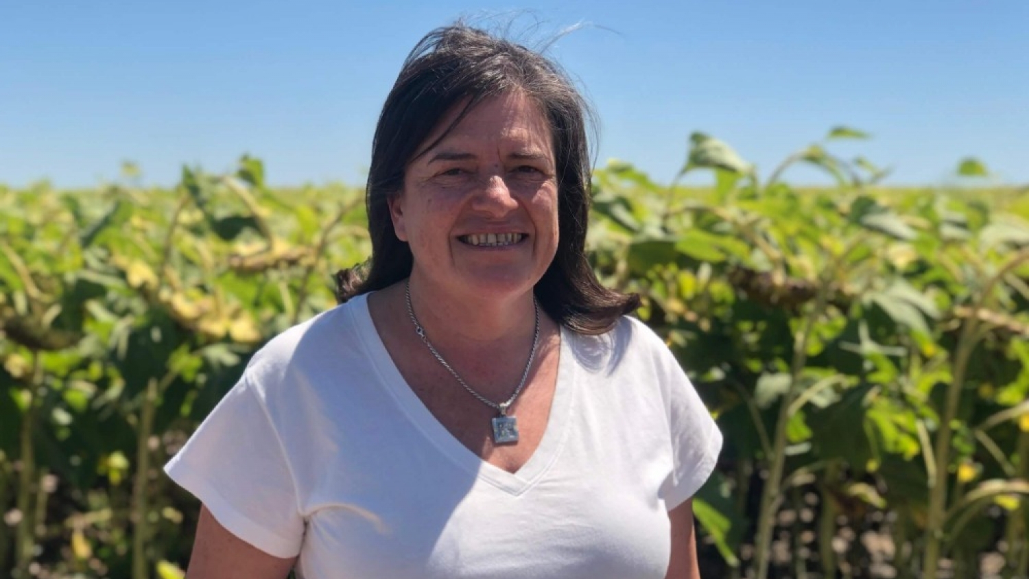 Gobierno provincial eleva montos de créditos para puesteros del oeste