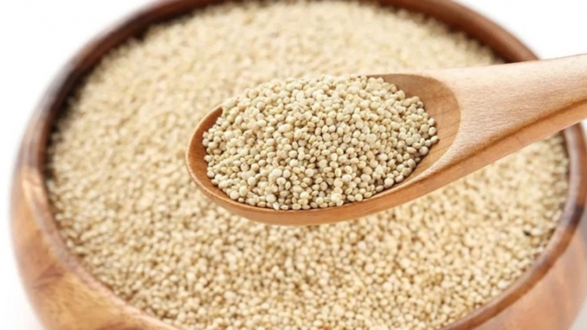 Estudian la potencialidad de la quinoa como alimento para astronautas