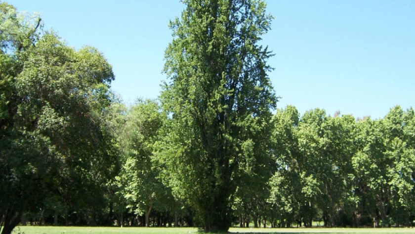 Ley Agroforestal: el manual para el Plan Predial puede descargarse de la web