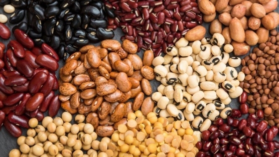 Las legumbres activan un plan estratégico para modernizar semillas y mejorar la competitividad productiva