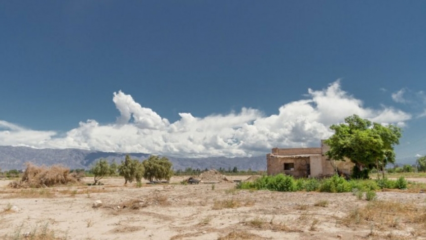 Ambiente premió las mejores fotografías de árboles