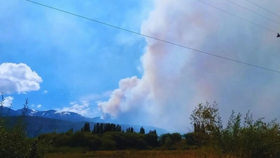 Cómo recuperar los suelos tras incendios: las recomendaciones agroforestales del INTA Patagonia Sur