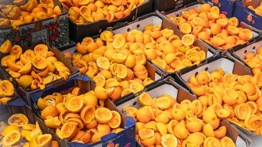 El mercado frutihortícola "Comunidad Boliviana" de Escobar contará con un biodigestor