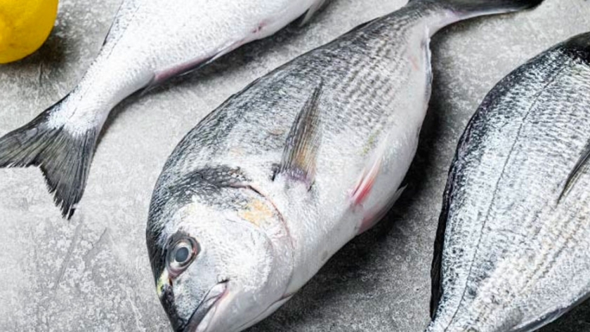 Investigadores demuestran que los peces marinos de crianza de la Unión Europea están libres de Anisakis