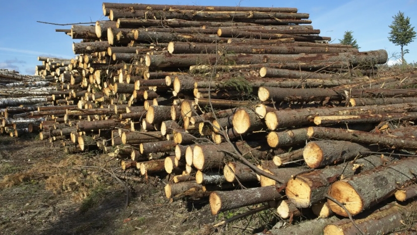 Jornadas de reconversión del sector Forestal Industrial