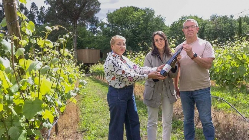 De un pequeño viñedo a un referente del enoturismo rural