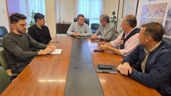 Chaco impulsa la apicultura con financiamiento estratégico para fortalecer la producción de miel