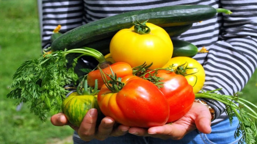 Cómo cuidar a la huerta urbana del calor del verano