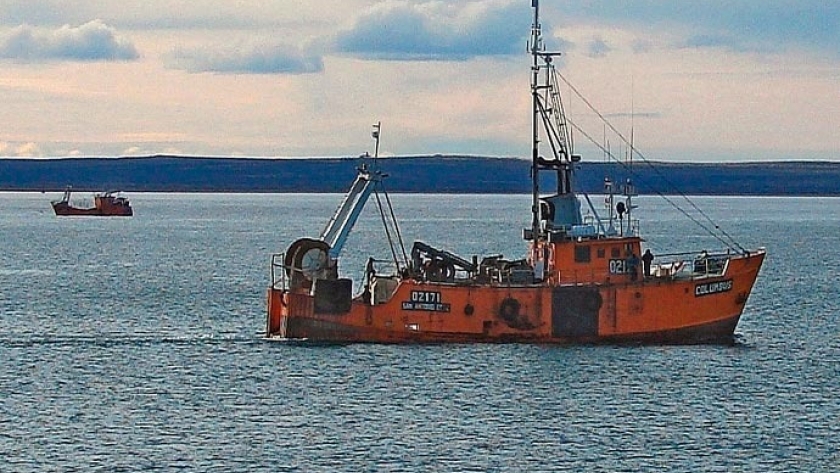 El 9 de octubre inician campaña de langostino en aguas de Río Negro